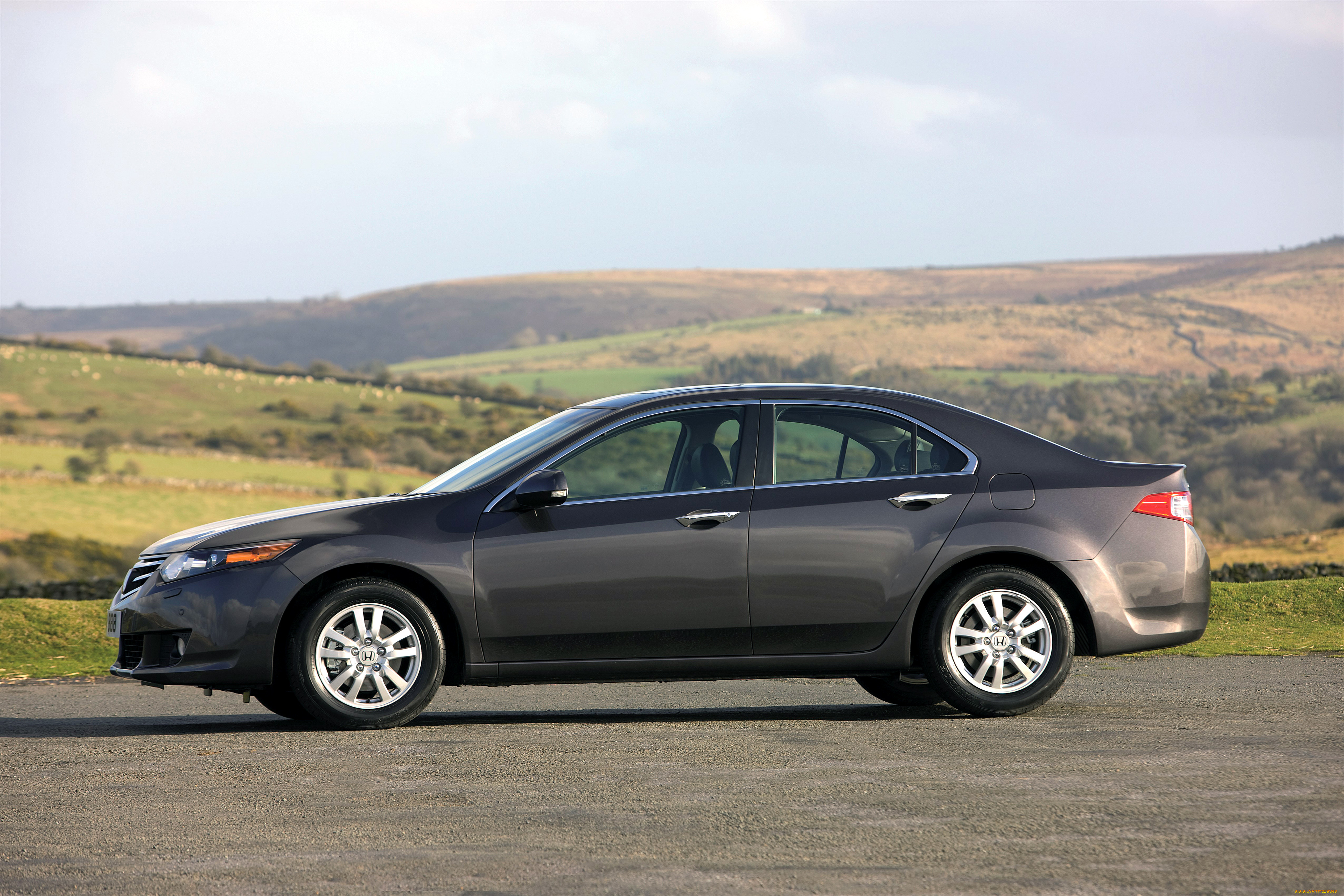 , honda, accord, sedan